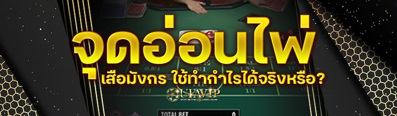 จุดอ่อนไพ่เสือมังกร ใช้ทำกำไรไ